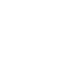 Move in/Out Clean